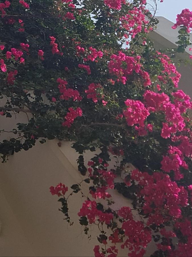 לוטראקי Noble Inn מראה חיצוני תמונה